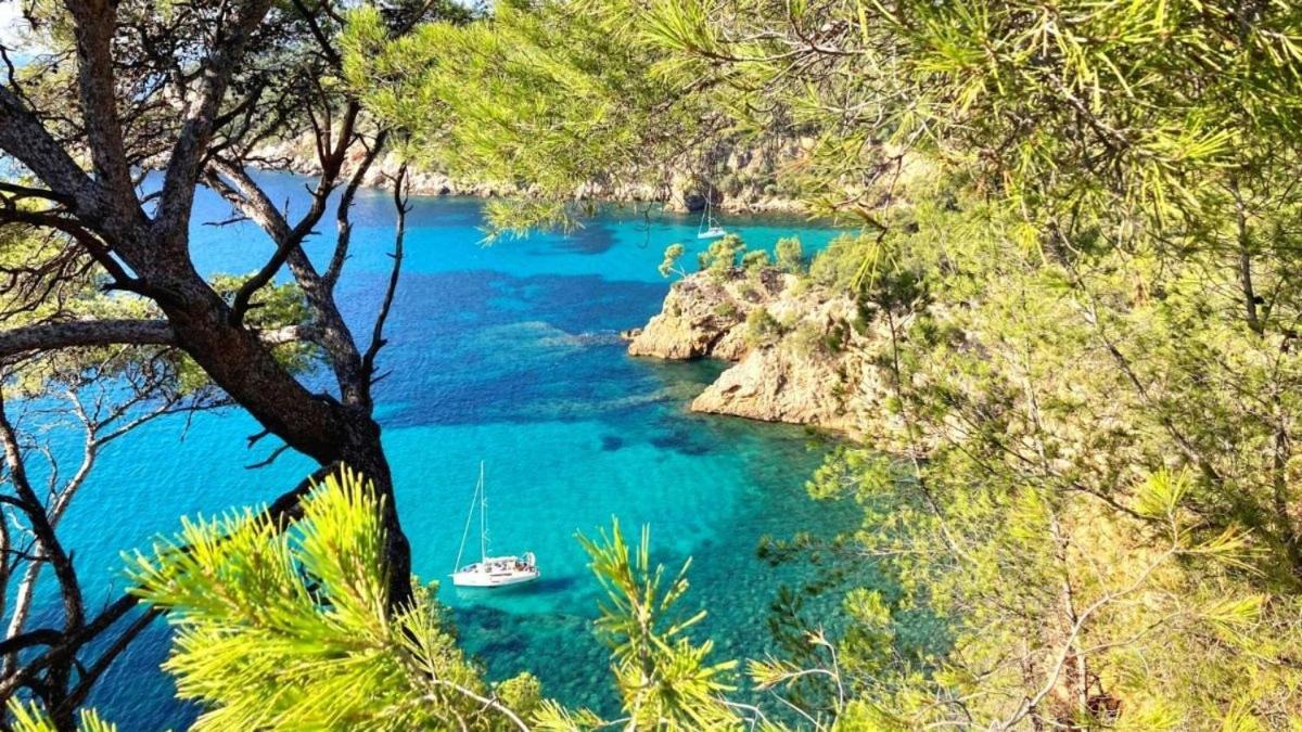 Superbe Appartement En Bord De Mer Bandol Exterior foto